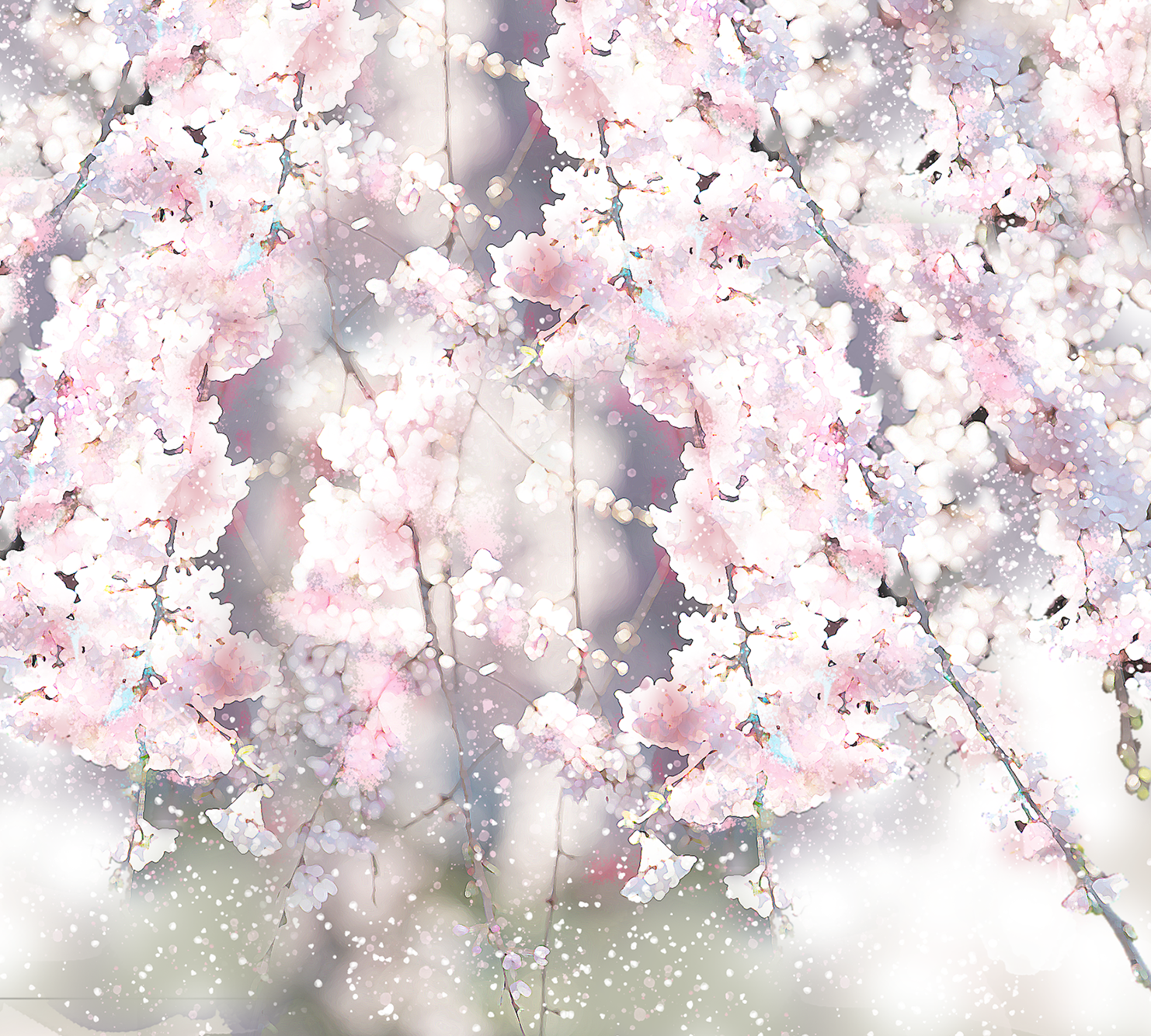 桜の水彩